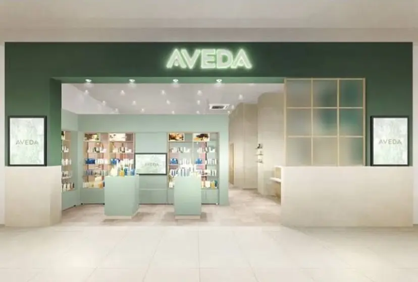 橘 芽久美の掲載