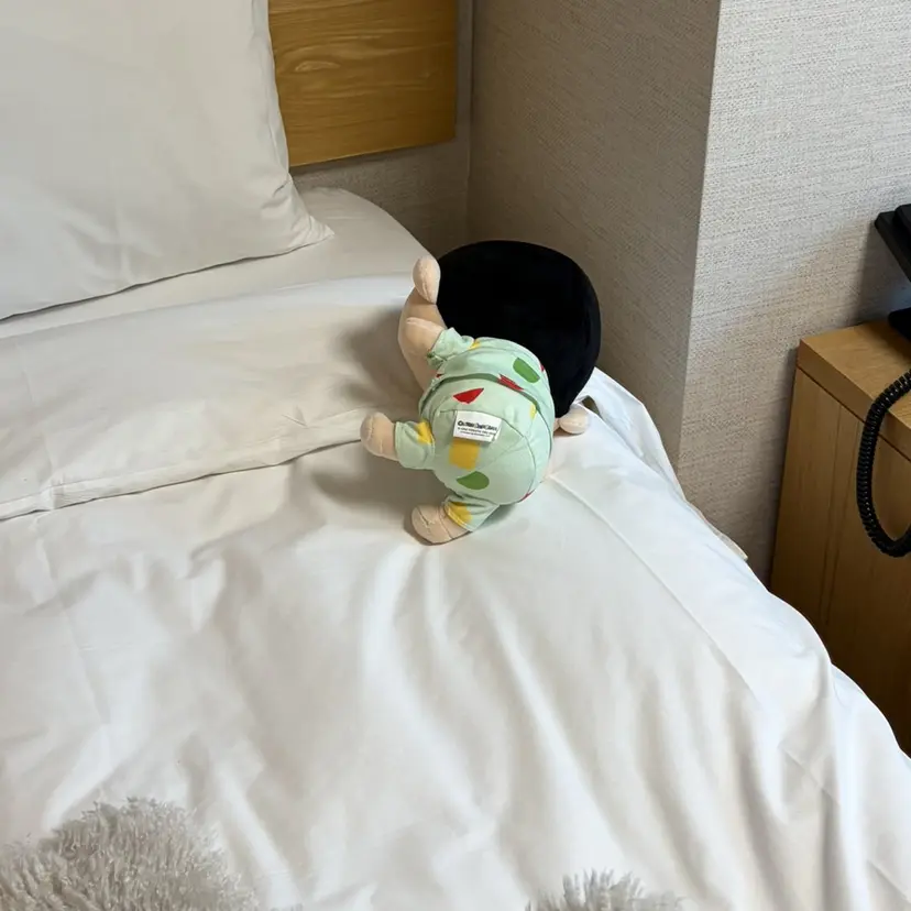 二ツ石 舞幸の掲載