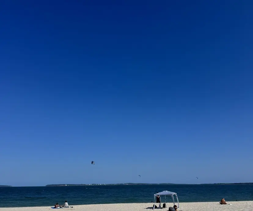 大佐古 陣冶の掲載