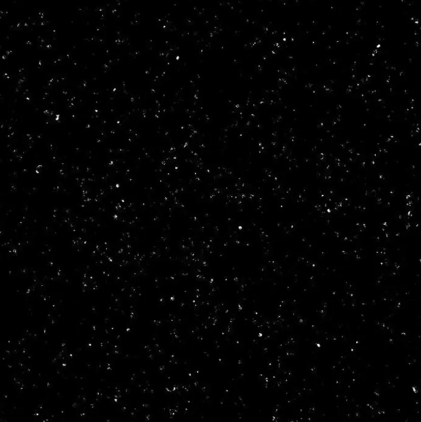 haruhi︎︎◝✩ /束感まつ毛/京都の掲載