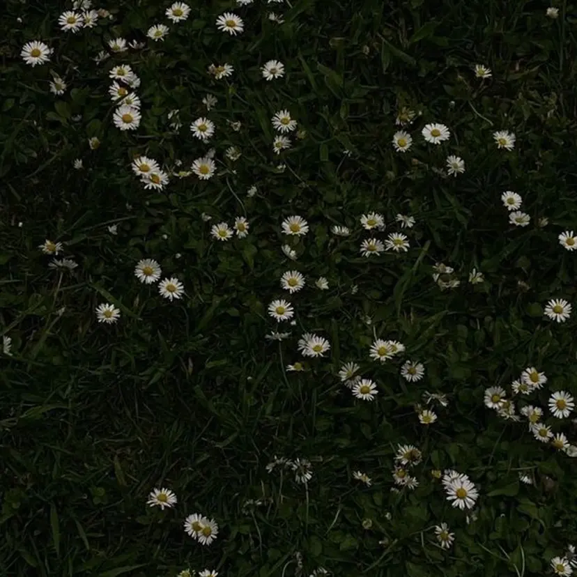 ayano /レイヤー/艶カラーの掲載