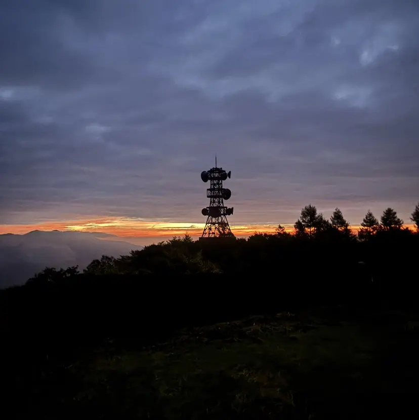 佐藤 優芽香の掲載
