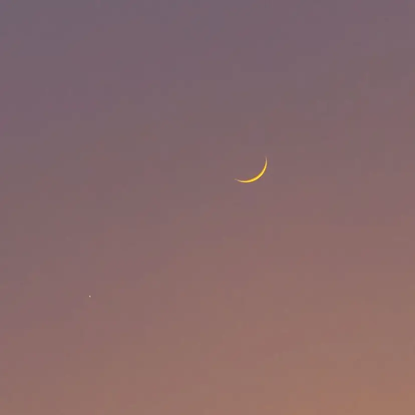 眉毛専門luuna SARA🌙の掲載