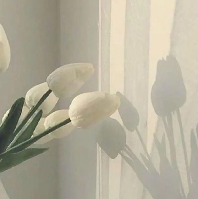 matoi eyelashの掲載