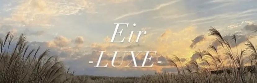 金田 美咲の掲載