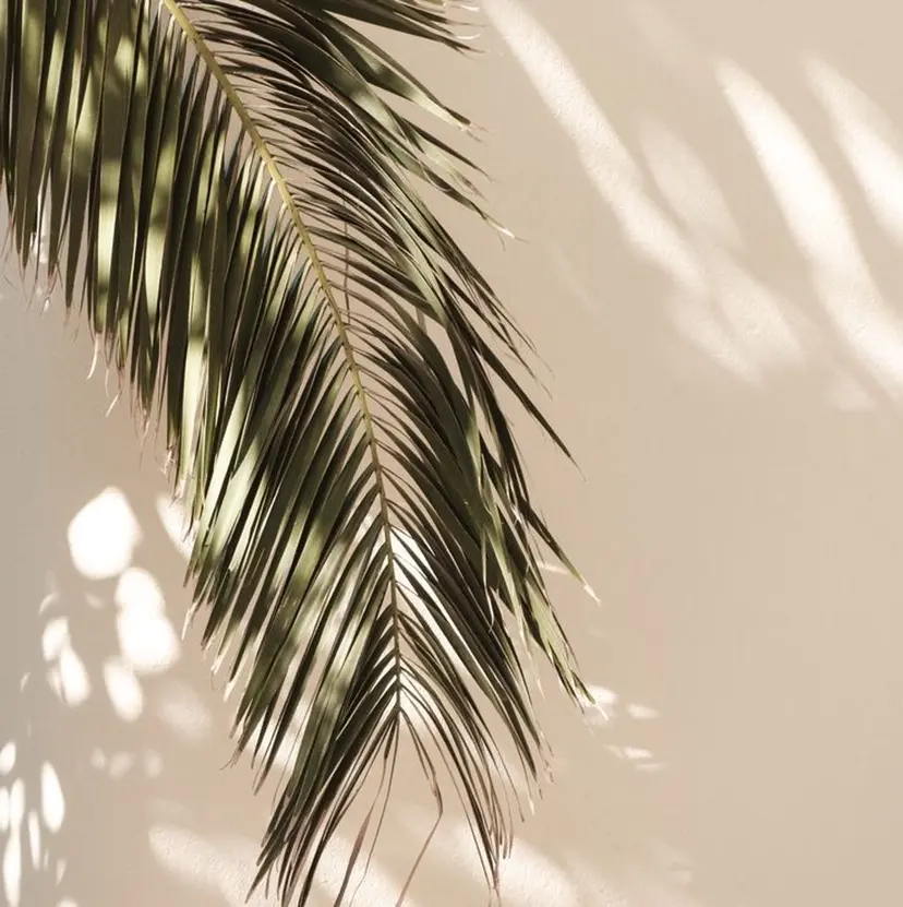 イシダ シュウの掲載