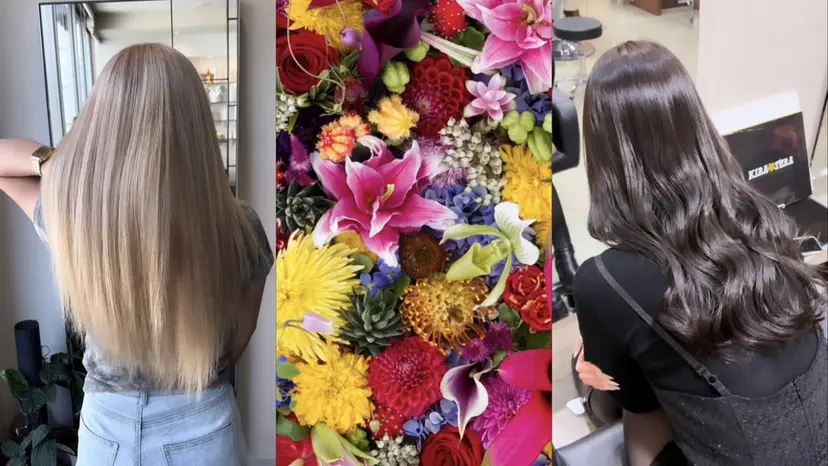 w_salon conocaの掲載