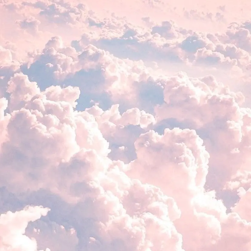 RINKA 🌷🫧の掲載