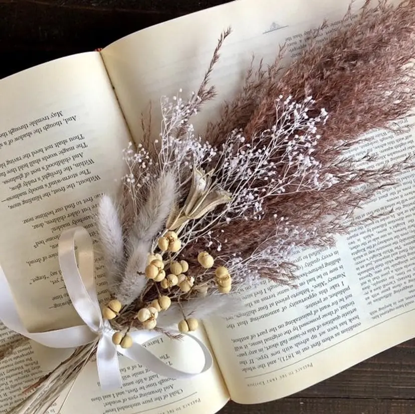 Color . Iwanoの掲載