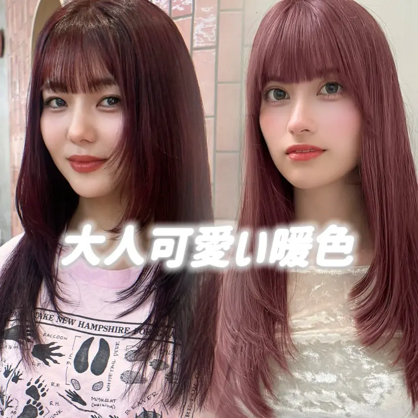 柔らかい艶暖色 レイヤー🫧姫汝の掲載