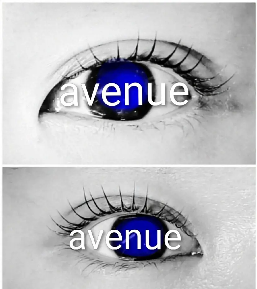 Avenue Naomiの掲載