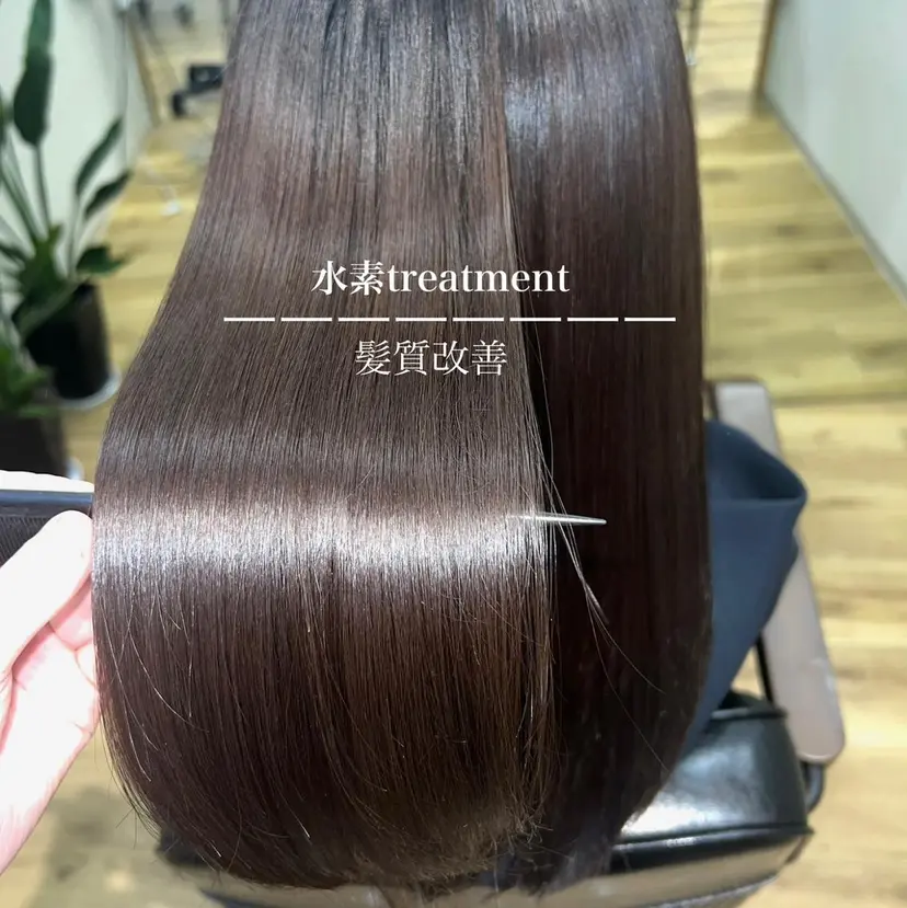 松下 茉由の掲載