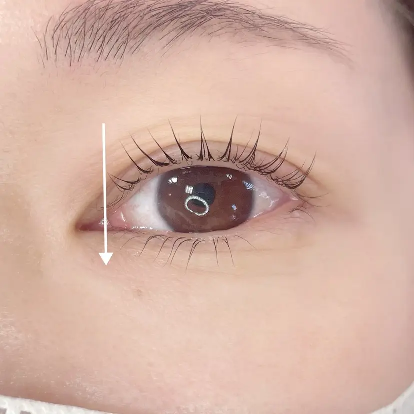 福田 幸恵の掲載