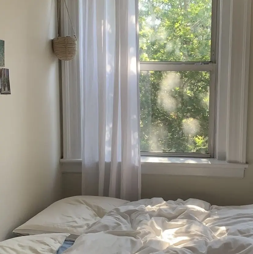 Hitomi🫧 / sofa 国分寺の掲載