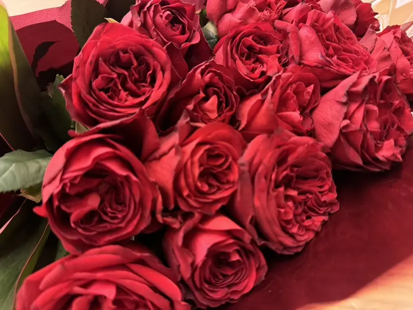 贄田 未空の掲載