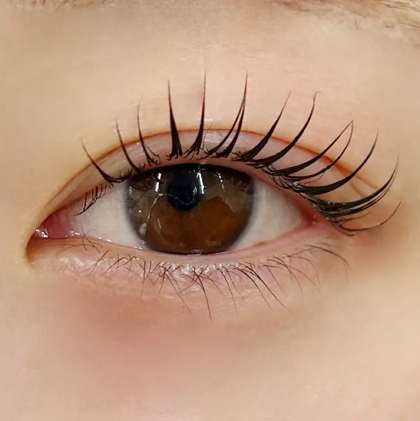 サクラブロウ博多 吉田の掲載