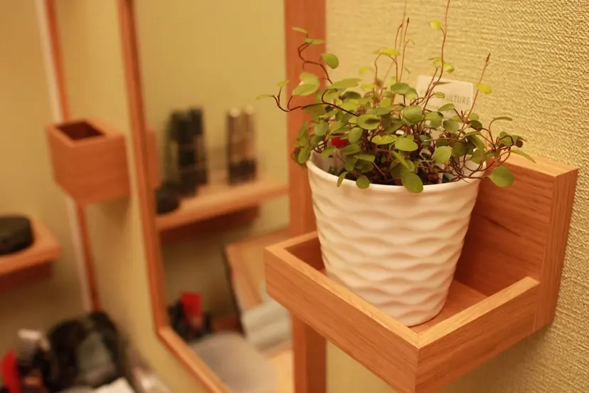 ナリス化粧品 おひさまサロンの掲載