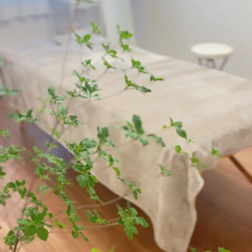 小顔サロンSharp …腸調整よもぎ蒸しの掲載