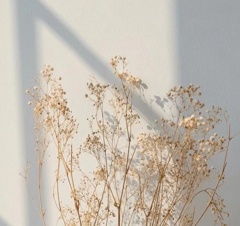 船津 仁美の掲載