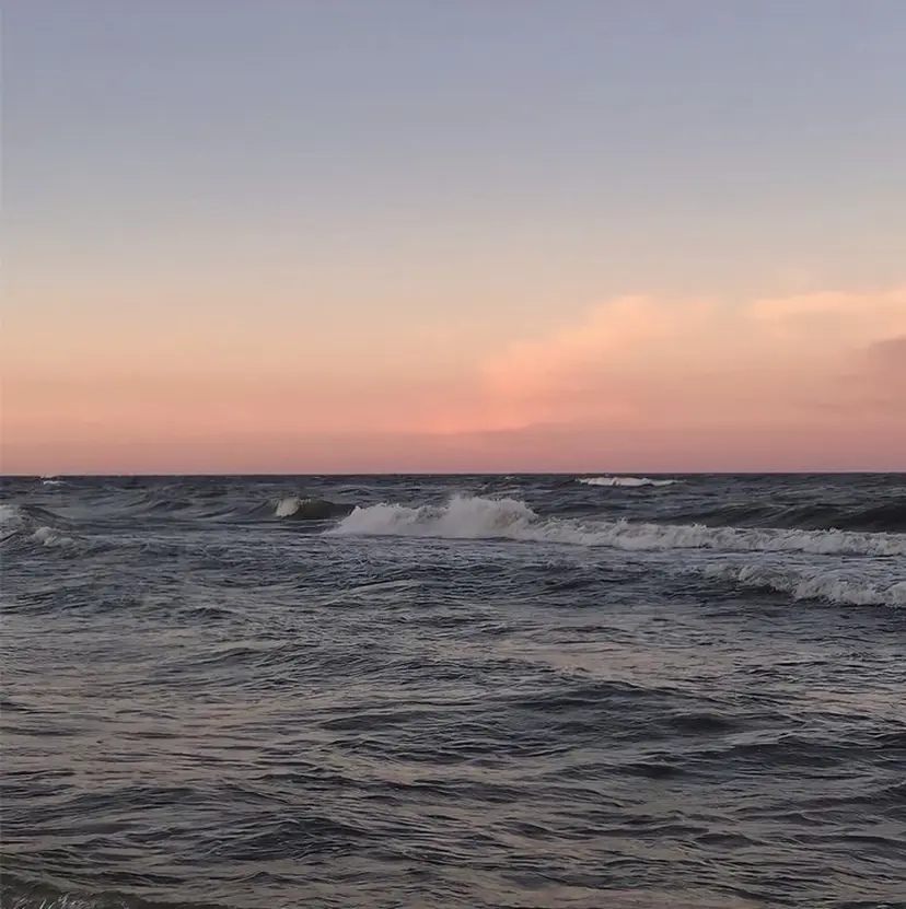 はらだ すずの掲載