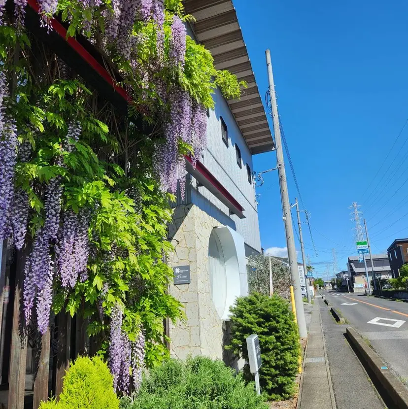矢口 直樹の掲載