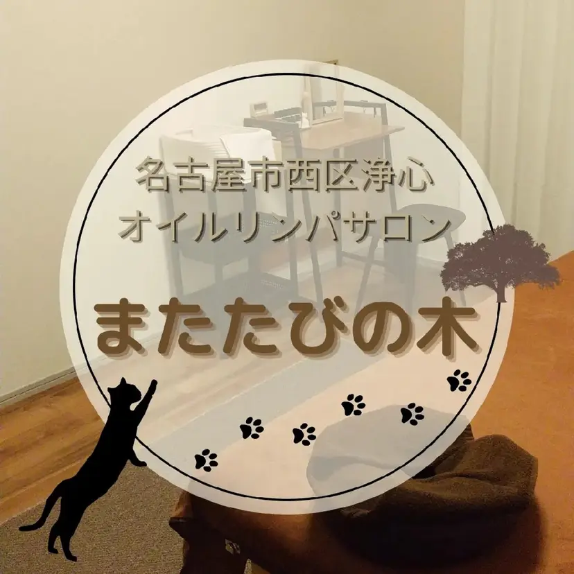 オイルリンパ またたびの木の掲載