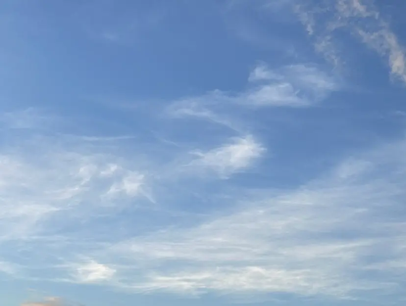 おおた きょうかの掲載