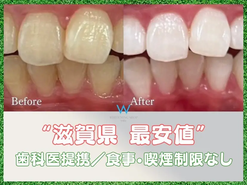 高松 知也の掲載