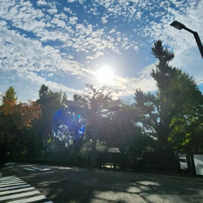 closet新宿🌟 青木力の掲載