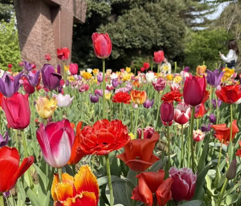 青木 あいかの掲載