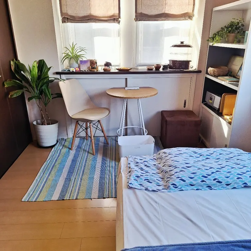 森本 ひとみの掲載