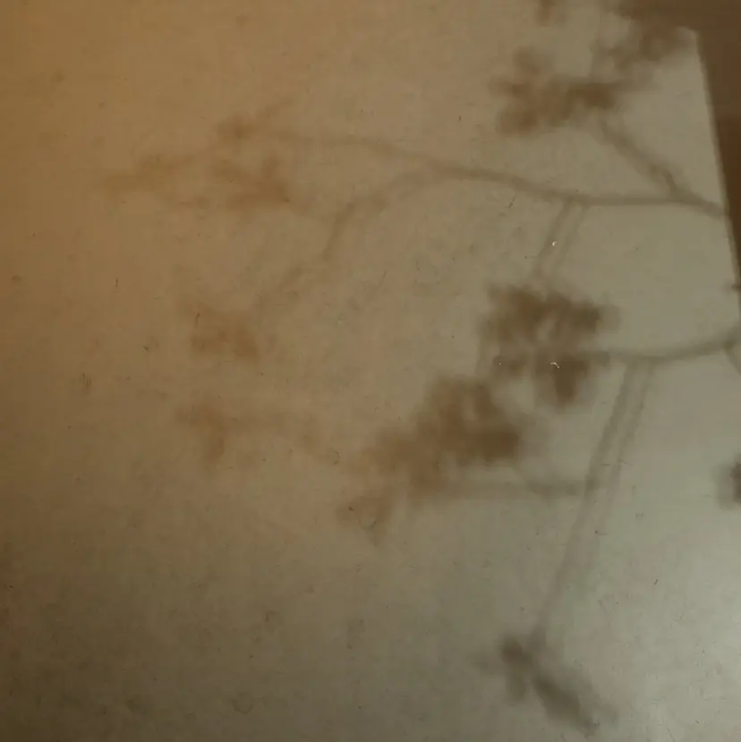 パーマ/透明感カラー 元町🌱takutoの掲載