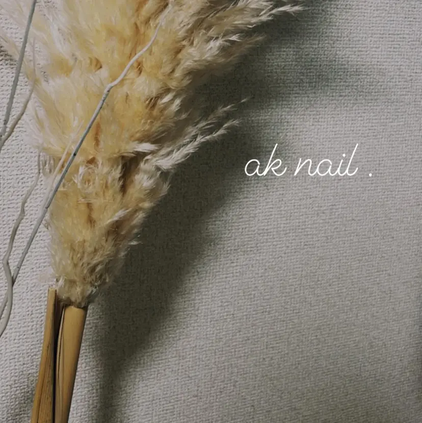 ak nail .の掲載