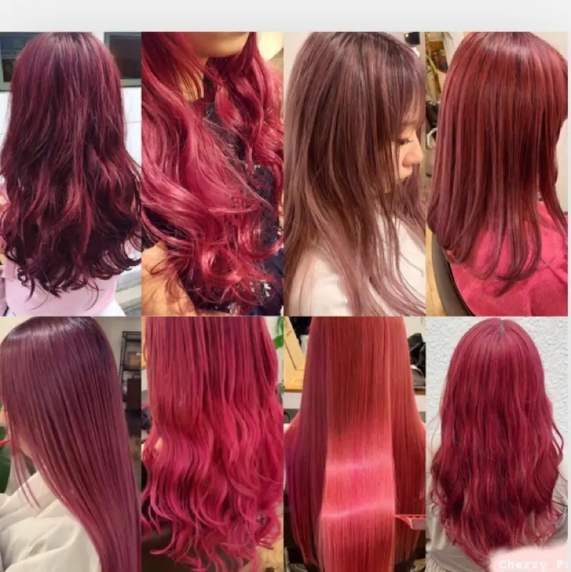 中嶋 【ナカジマ】の掲載