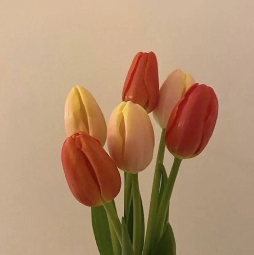 🌷川崎/アレンジ/ 暖色ボブ/コトネ🌷の掲載