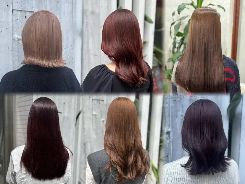 🌸塩谷 桜🌸の掲載