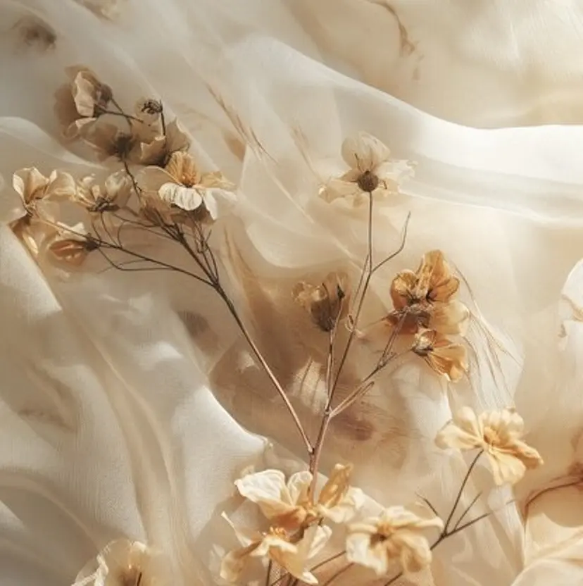 🩰淡色カラー／ 南ゆかり（女性のみ）の掲載