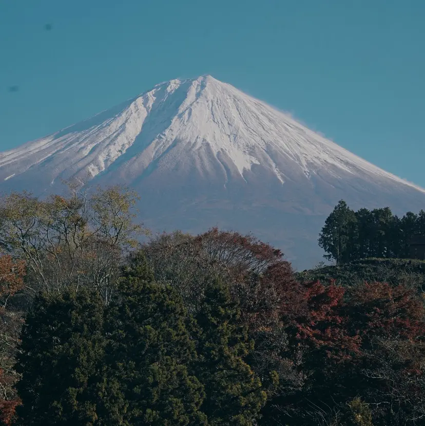 メンズカット募集中✍ ／Eijiの掲載