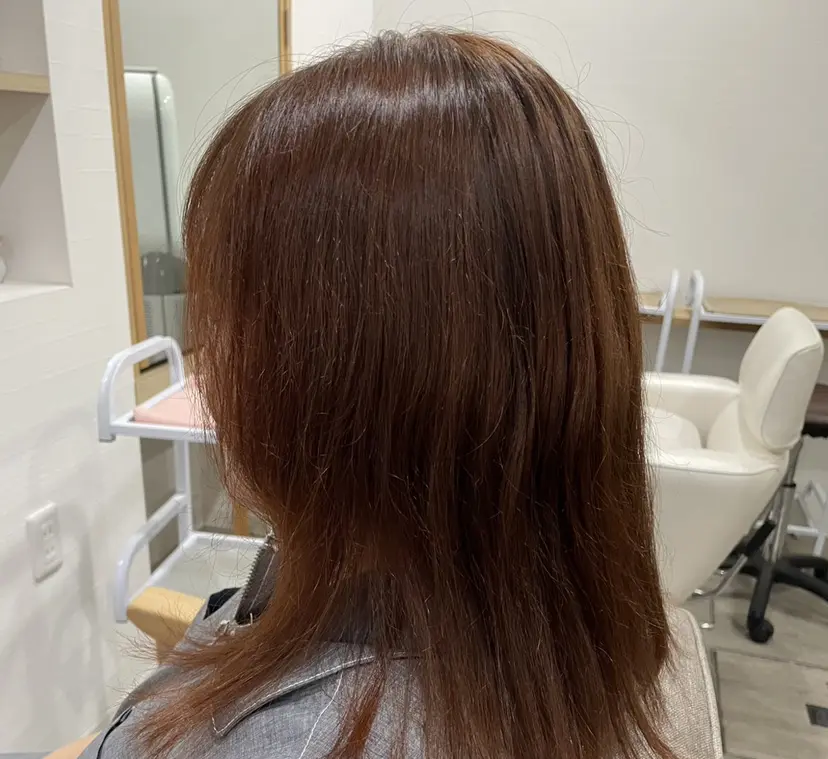 森川 愛莉の掲載