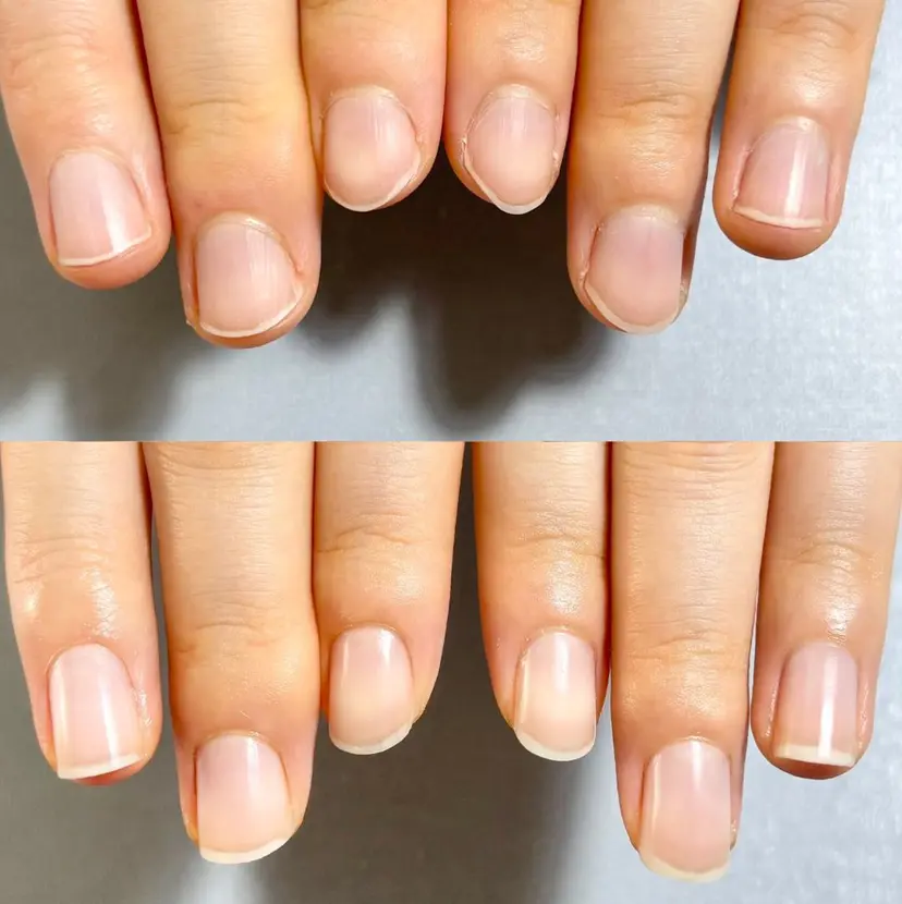 黒木 由美子の掲載