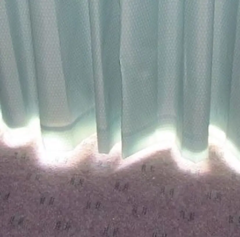 イシカワ ルナの掲載