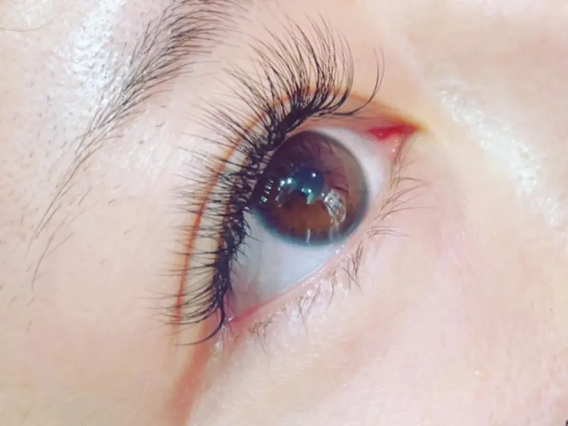 アトリエ ネッコの掲載