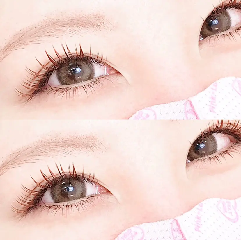 arvoフレスポ赤道 澁谷の掲載