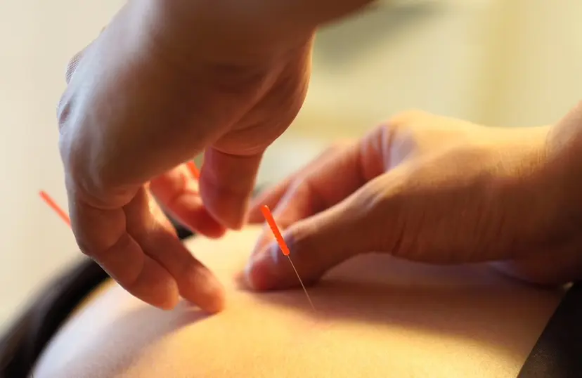 仲村 弘信の掲載