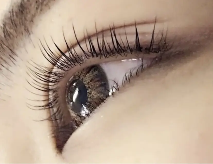 Eyelash NNの掲載