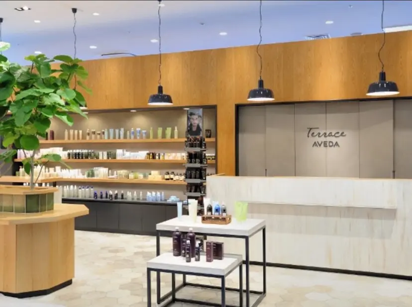 人見 夕華の掲載