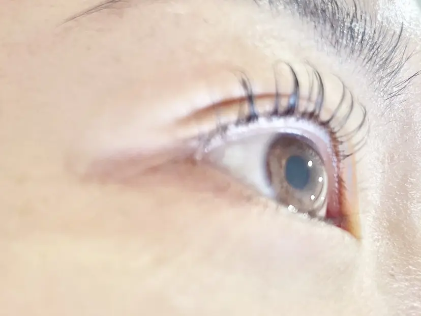 maehara mizueの掲載