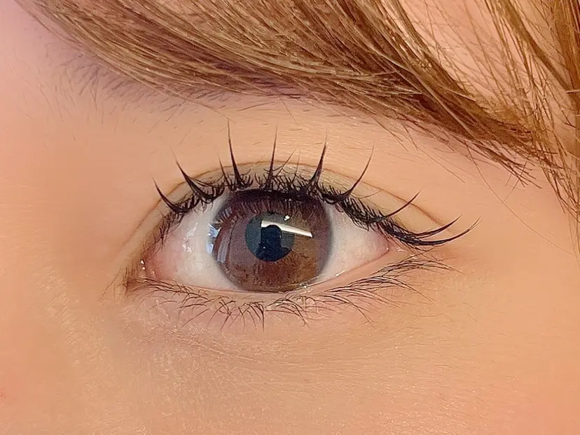 vii.emu AYUの掲載