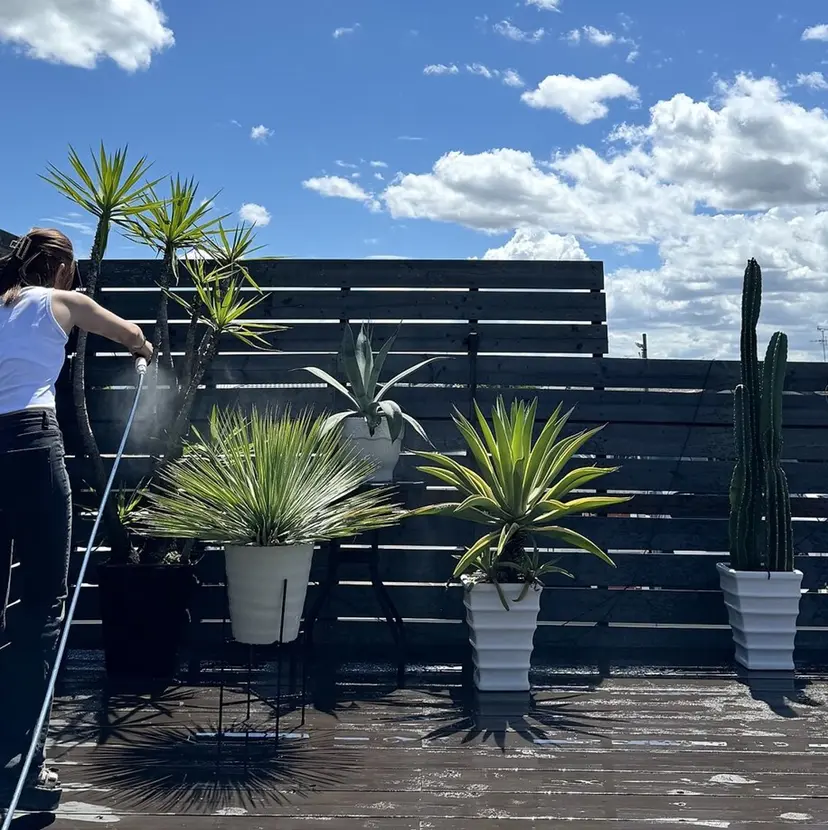 TIDEHAIR SHUKAの掲載