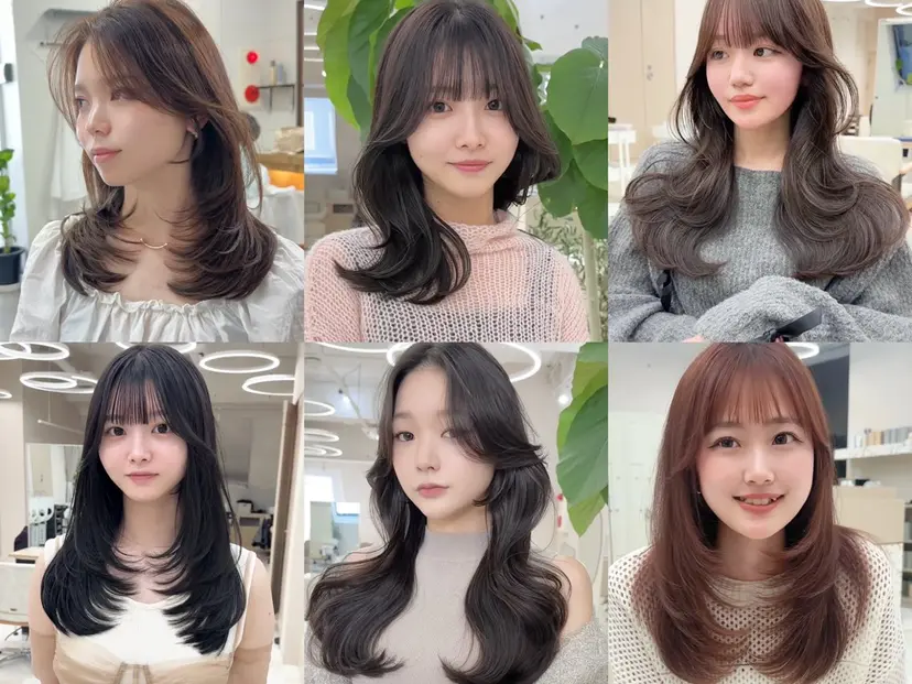 てーと /レイヤーカットの掲載